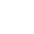 Security Icon With Right Check Mark